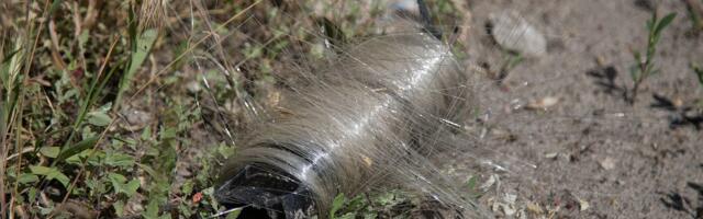 Ukraine’s birds adapt to battlefield environment, weaving optical fiber nests for warmth — canny feathered friends repurpose scraps of this spun off insulator material
