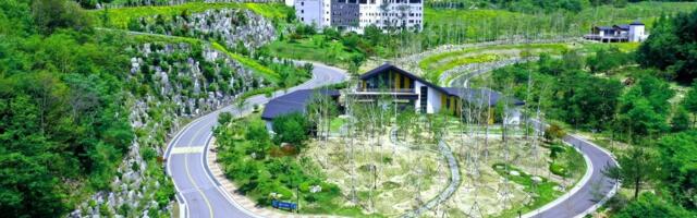 South Korea plans to open the country’s very first residential gambling treatment center