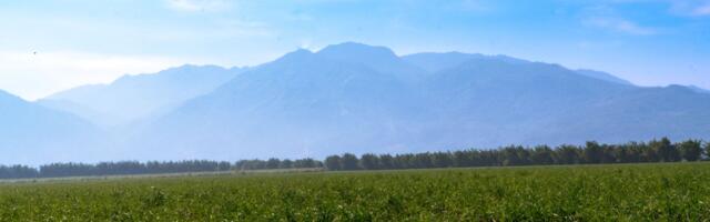 COP30, Bonsucro and Better Cotton Partner to Help Farmers Tackle Climate Challenges