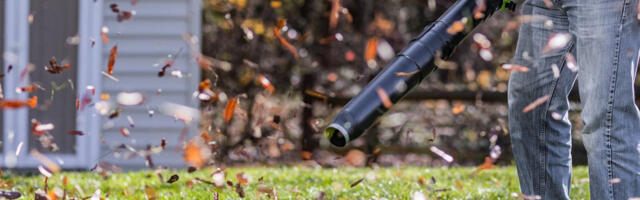 12 Power Tools You Might Not Know You Can Get At Costco