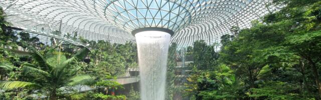 Singapore Slams Brakes on Climate Levy and Cleaner Fuel Mandate