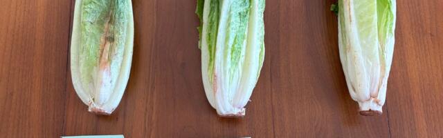 I Tested Linen vs. Mesh vs. Compostable Produce Bags. This One Kept My Produce Fresh the Longest