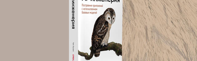 Книга: «AI-инженерия. Построение приложений с использованием базовых моделей»