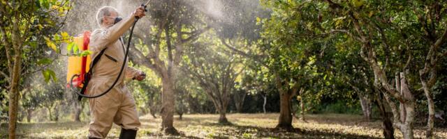 A tech startup is using IoT sensors and AI to help farmers cut hefty pesticide costs