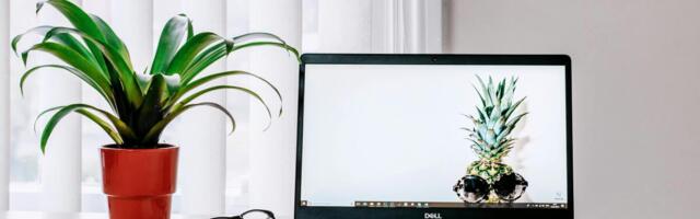 Need Microsoft Office? This 2019 license is $20 right now for Cyber Monday.