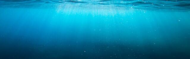 Ledgy dives into collaboration with SeaO₂ to help bring its pioneering oceanic carbon capture technology to life