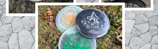 Best Disc Golf Discs (2024): Disc Sets, Putters, and More