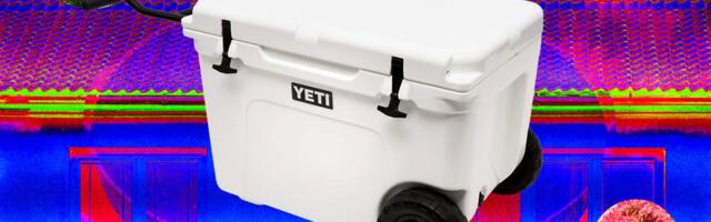 13 Best Coolers for Sunshine and Nighttime (2026)