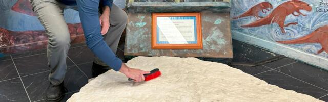 This High School Rock Is Teeming With Dinosaur Footprints—but No One Noticed for Decades