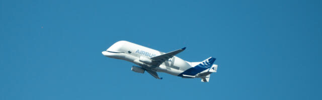 Why Did Airbus Suspend Its Beluga Cargo Airline?