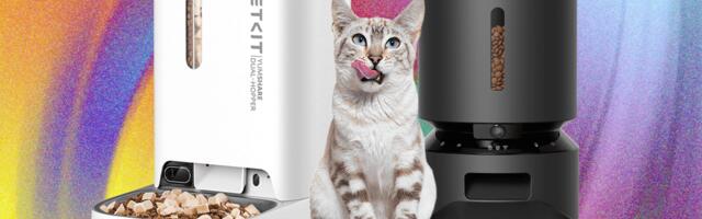 These 8 Automatic Cat Feeders Were the Best We Tested (2025)