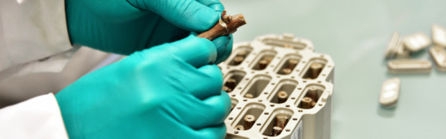 Space Cargo Unlimited looks to space to make wine grape vines more resistant to climate change