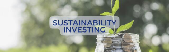 Sustainability: What it really means – from an investor perspective