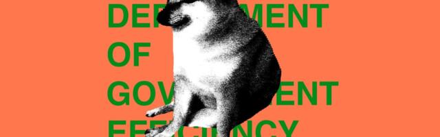 DOGE is no more, and in its wake, only chaos