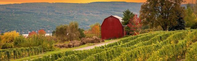 The 5 US states with the best wineries, according to a sommelier