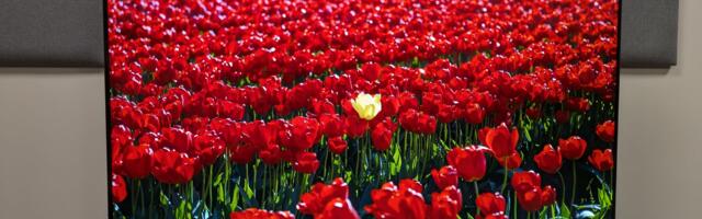 Not one, but two LG B6 models appear on Amazon — here are the differences between the two budget OLED TVs