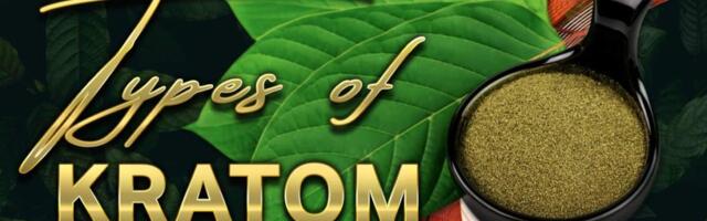 Kratom Strains: Guide to the Different Types of Kratom Strains