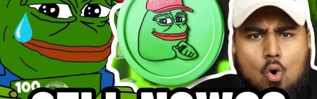 Meme Coin Market Slumps, But Pepe (PEPE) Shows Resilience – Buying the Dip or Exploring Play-to-Earn Presale for Passive Income?