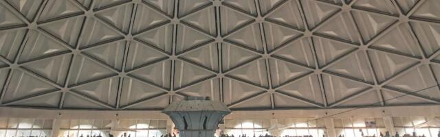 Сделала мониторинг курсов валют Узбекистана в Telegram за чаем и памперсами