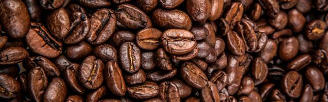 No bean coffee made from things like date seeds may be in our near future