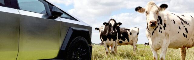 Tesla really wants the Cybertruck to be a working man's truck