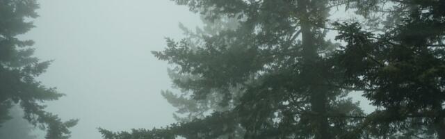 Fog Has Always Been Shrouded in Mystery. Our Window to Figure It Out May Be Closing