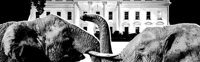 It's Officially Election Season In Trumpworld
