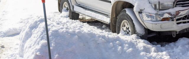 Don't Want To Spend Too Much Time Shoveling Snow This Year? Try This Instead