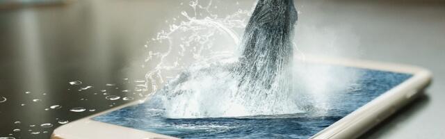 Long Dormant Whale Sends $61M BTC to Coinbase, OnChain Data Shows