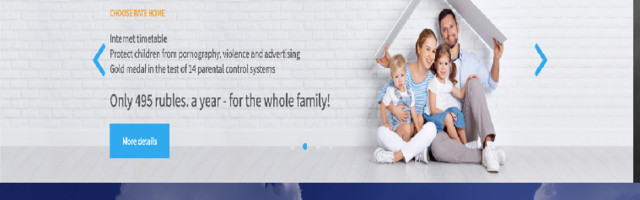 SkyDNS – We make the internet safer