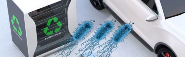 Bacteria – yes, bacteria – could be the key to recycling EV batteries