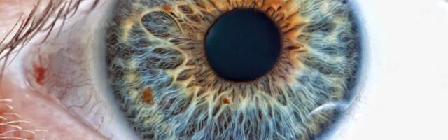 Ghent-based Azalea Vision raises €9M to advance eye care with real-time adaptive smart lenses