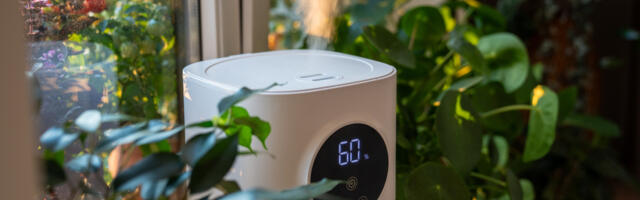 Can You Use A Humidifier In An Air Conditioned Room?