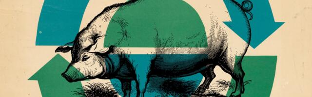 The best thing you can do for the planet on Earth Day