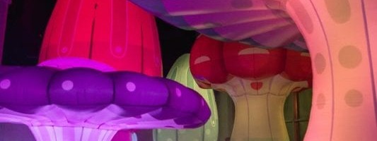 Biometric Cards, Pension Payments, Psychedelic Drugs and More: This Week’s Top Mobile ID Stories