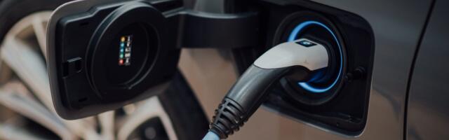 The Rise of Startups in the Electric Vehicle Industry
