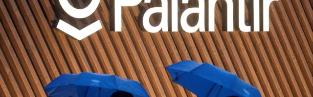 Palantir surges 24% as group predicts windfall from Musk’s government cuts