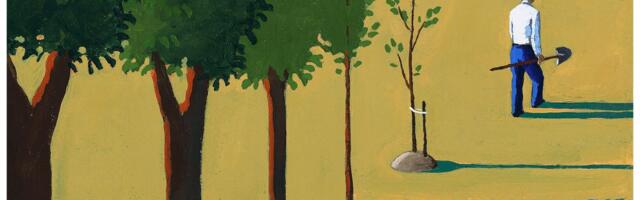 It takes more than trees to build a livable city