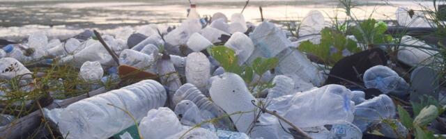 Redefining Plastic Recycling: An interview with CEO of Halocycle