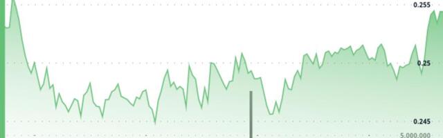 XLM Slips 3.2% to $0.25 as Altcoin Purge Continues