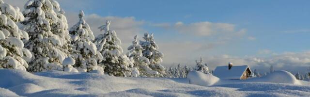 This Bitcoin-Led, Institutionally Anchored Cycle Shows the Three-Month Drop Isn’t a Winter: Glassnode