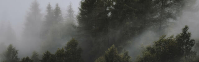Innovative carbon offsetting infrastructure launched