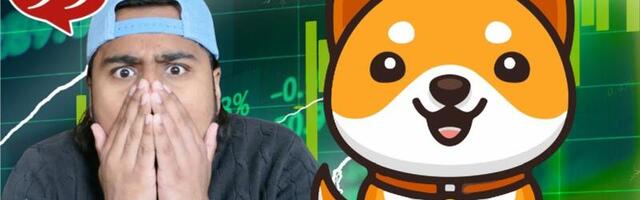 Baby Doge Coin August 2024 Price Prediction – Is BabyDoge Heading for a Binance Listing?