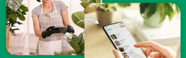 Get a lifetime of expert-level plant ID, tips, and diagnosis for $15