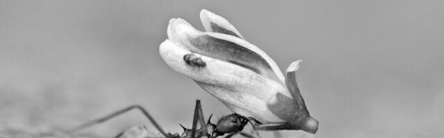 German biotech Kupando raises €10M more to take its innate immunity drug into the clinic