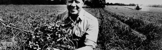 The jobs US presidents had before taking office, from teachers to peanut farmers