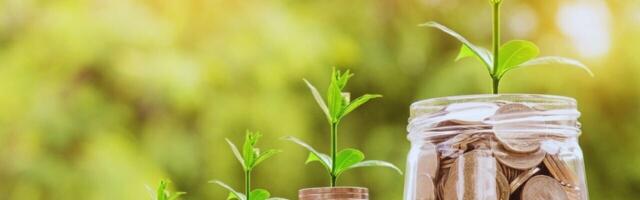 How an outsider’s freedom can make a successful startup founder