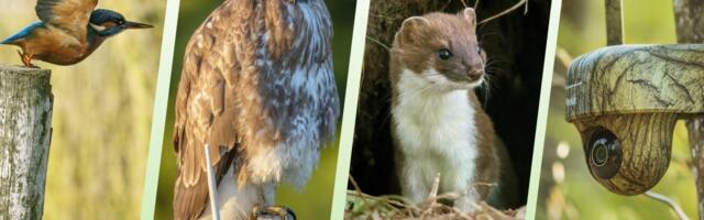 Earth Day with Reolink: Protecting nature, one camera at a time