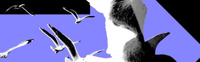 The Most Powerful Politics Influencers Barely Post About Politics