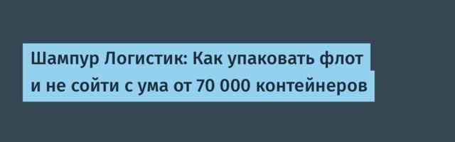 Шампур Логистик: Как упаковать флот и не сойти с ума от 70 000 контейнеров